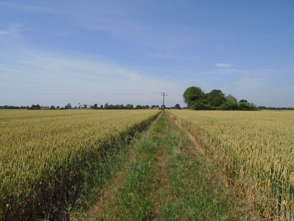 Wilby Suffolk Footpath towards Wilby Green from B1118 4564351