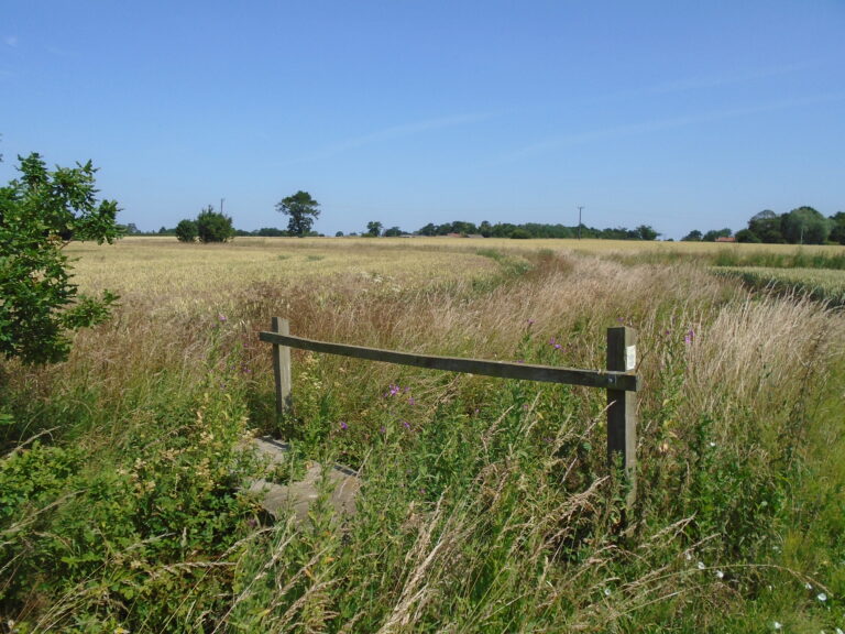 Wilby Suffolk Footpath 4564381